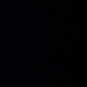 Meet your Posher, Katty